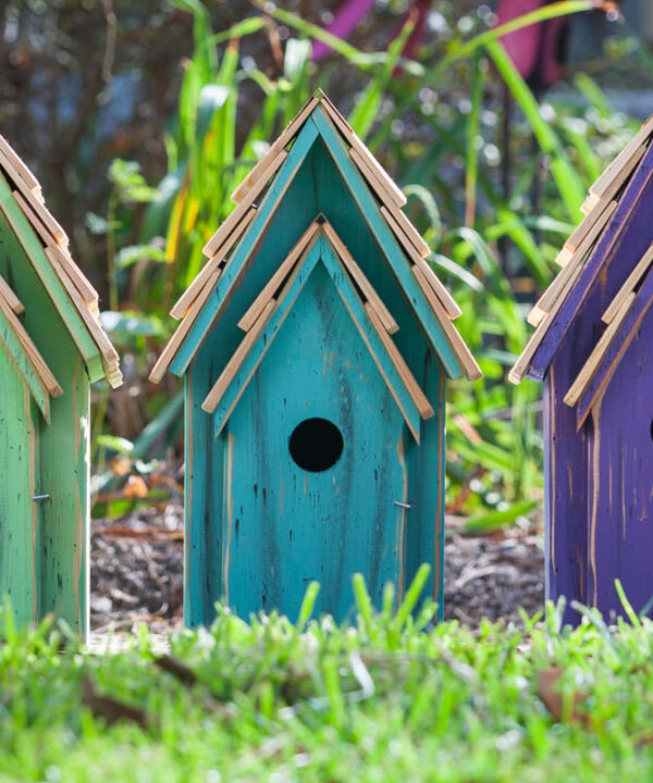 BLUEBIRD BRIGHT BIRDHOUSES
