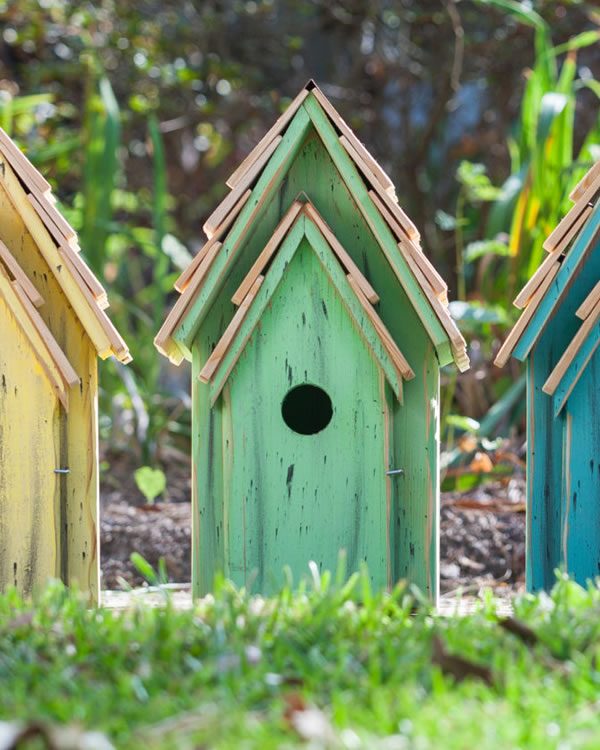 BLUEBIRD BRIGHT BIRDHOUSES - Image 2