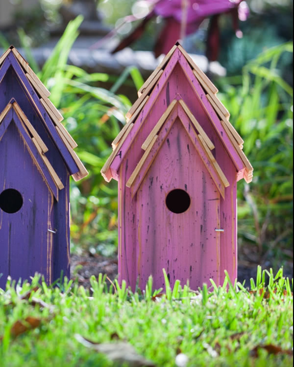 BLUEBIRD BRIGHT BIRDHOUSES - Image 3