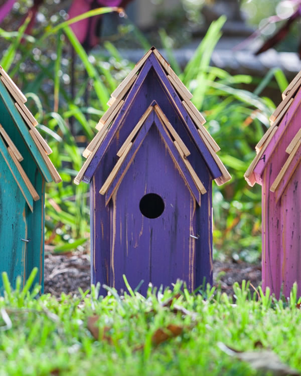 BLUEBIRD BRIGHT BIRDHOUSES - Image 4