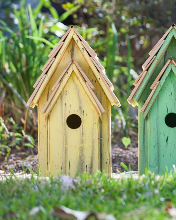 BLUEBIRD BRIGHT BIRDHOUSES - Image 5