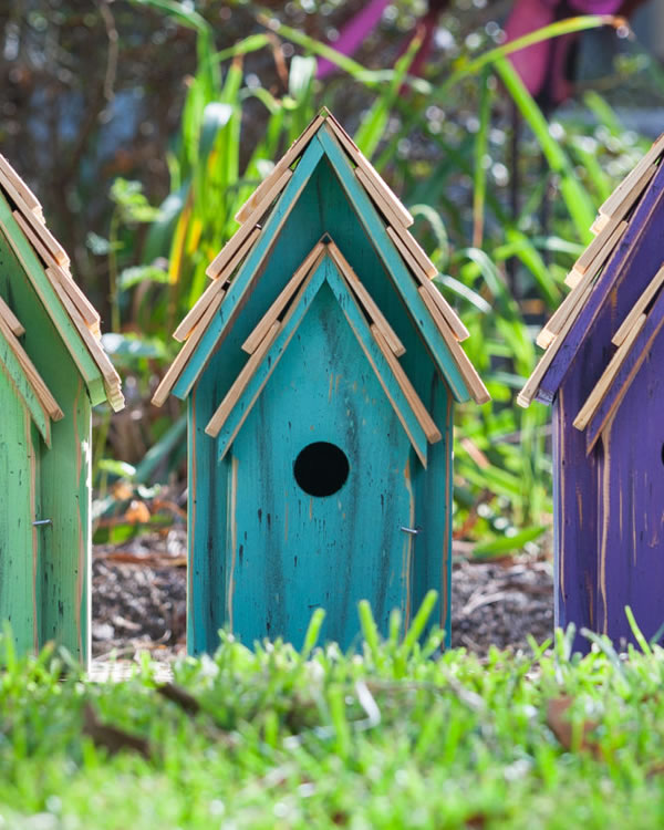 BLUEBIRD BRIGHT BIRDHOUSES